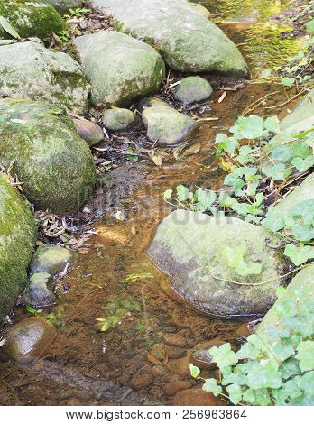 Photography That Is Showing A Small Water Stream