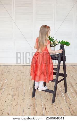 Young Little Blonde Girl Standing On Scaling-ladder Cares For Flowers