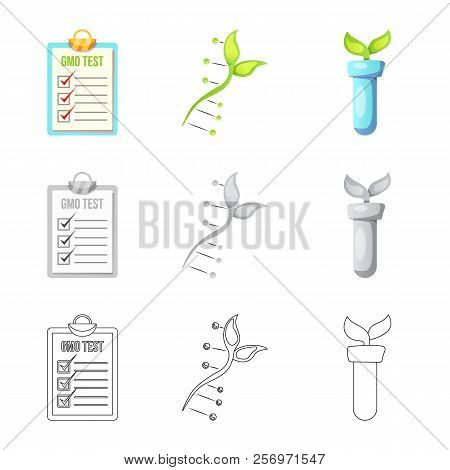 Vector Illustration Of Genetic And Plant Icon. Collection Of Genetic And Biotechnology Stock Symbol 