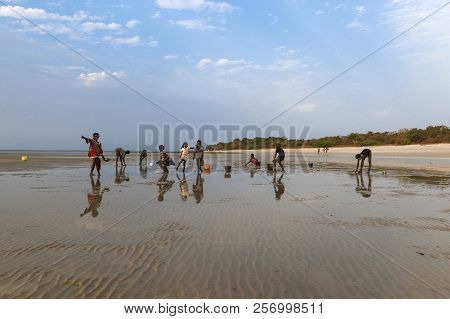 Orango Island, Guinea-bissau - February 2, 2018:  Group Of Children Collecting Cockles And Playing A