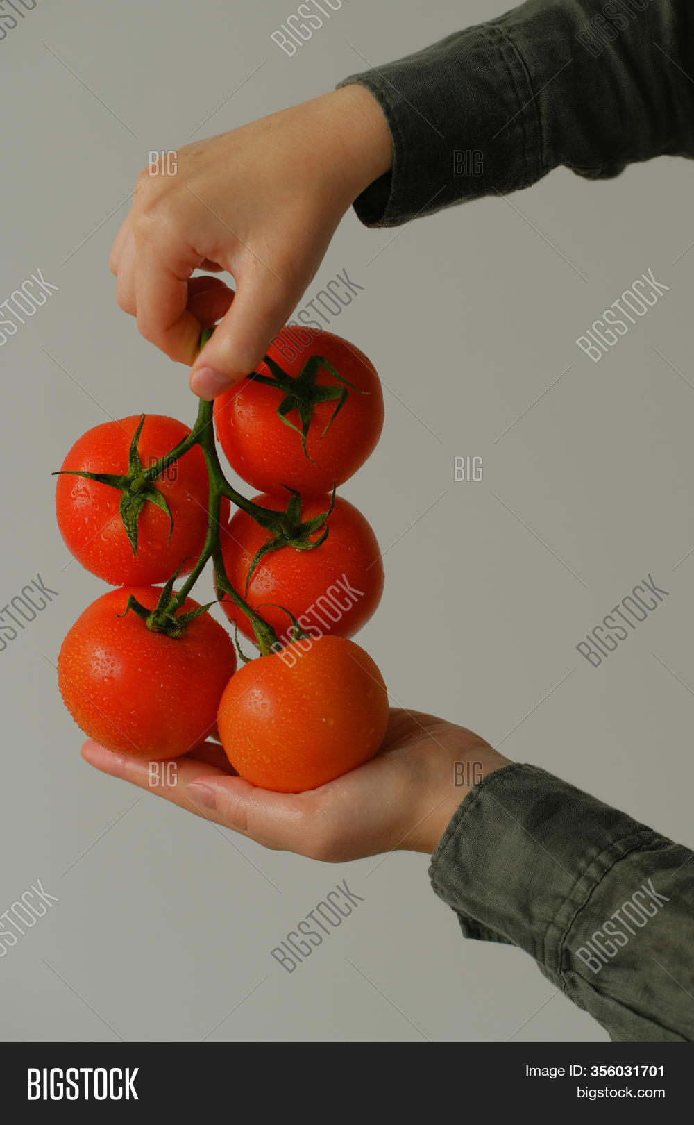 Farmers Hands Freshly Image & Photo (Free Trial) Bigstock