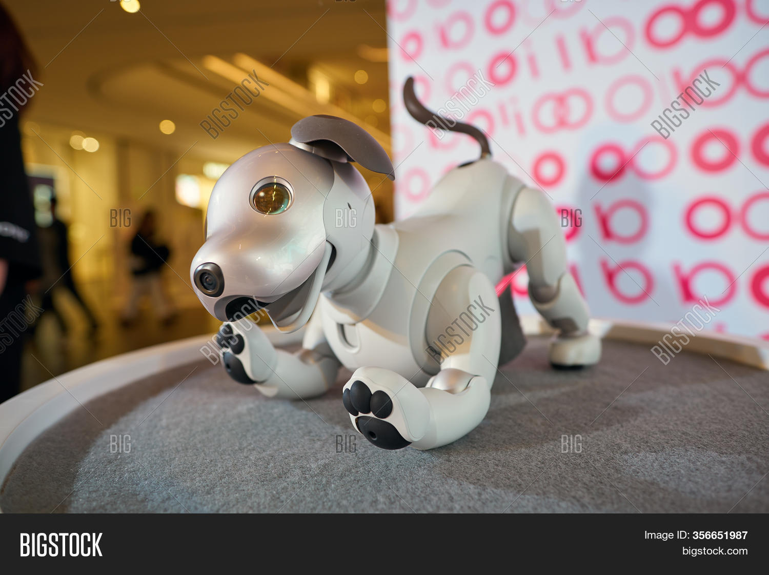 aibo sony 2019