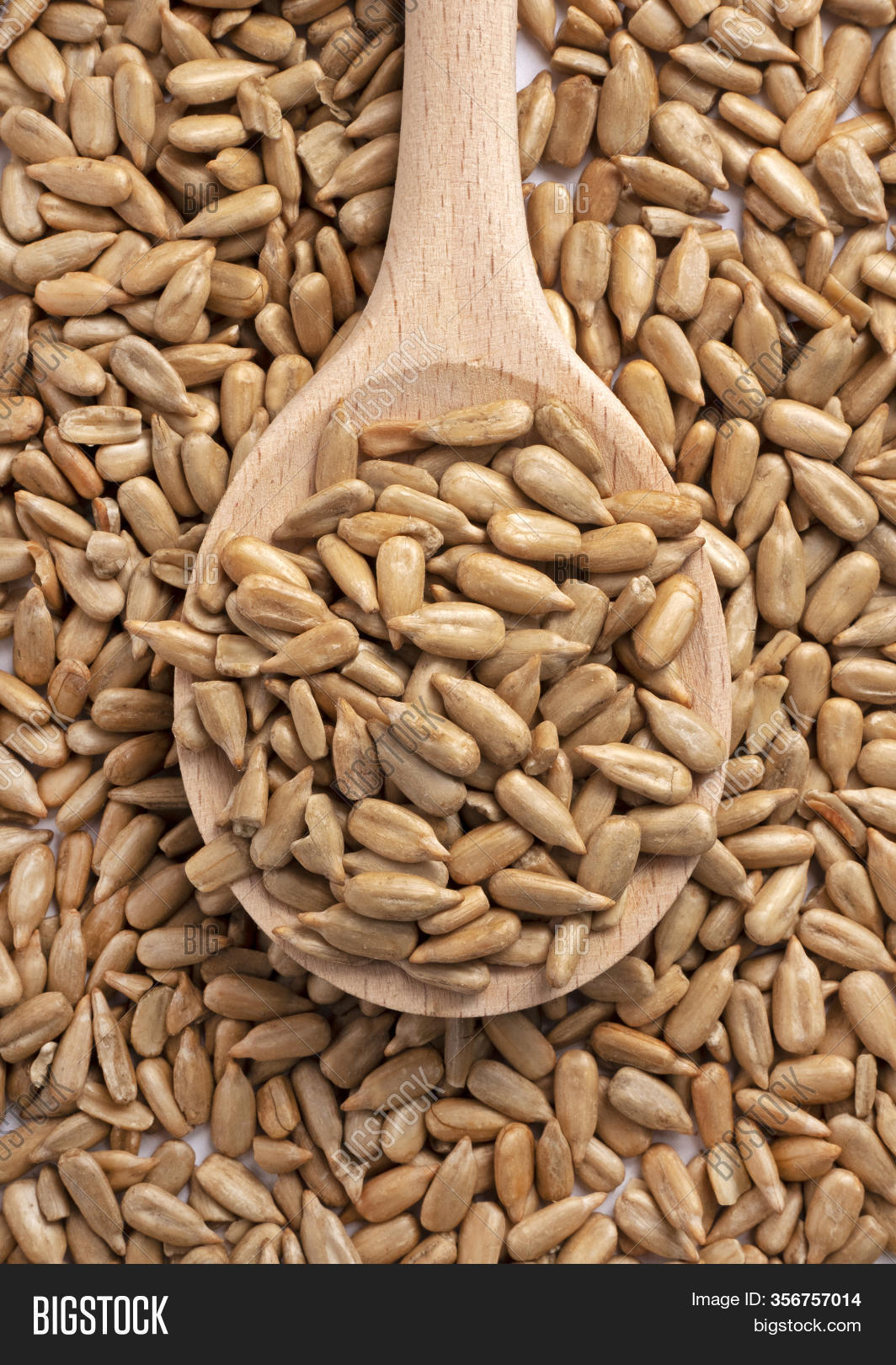 Sunflower Seed On Image & Photo (Free Trial) Bigstock