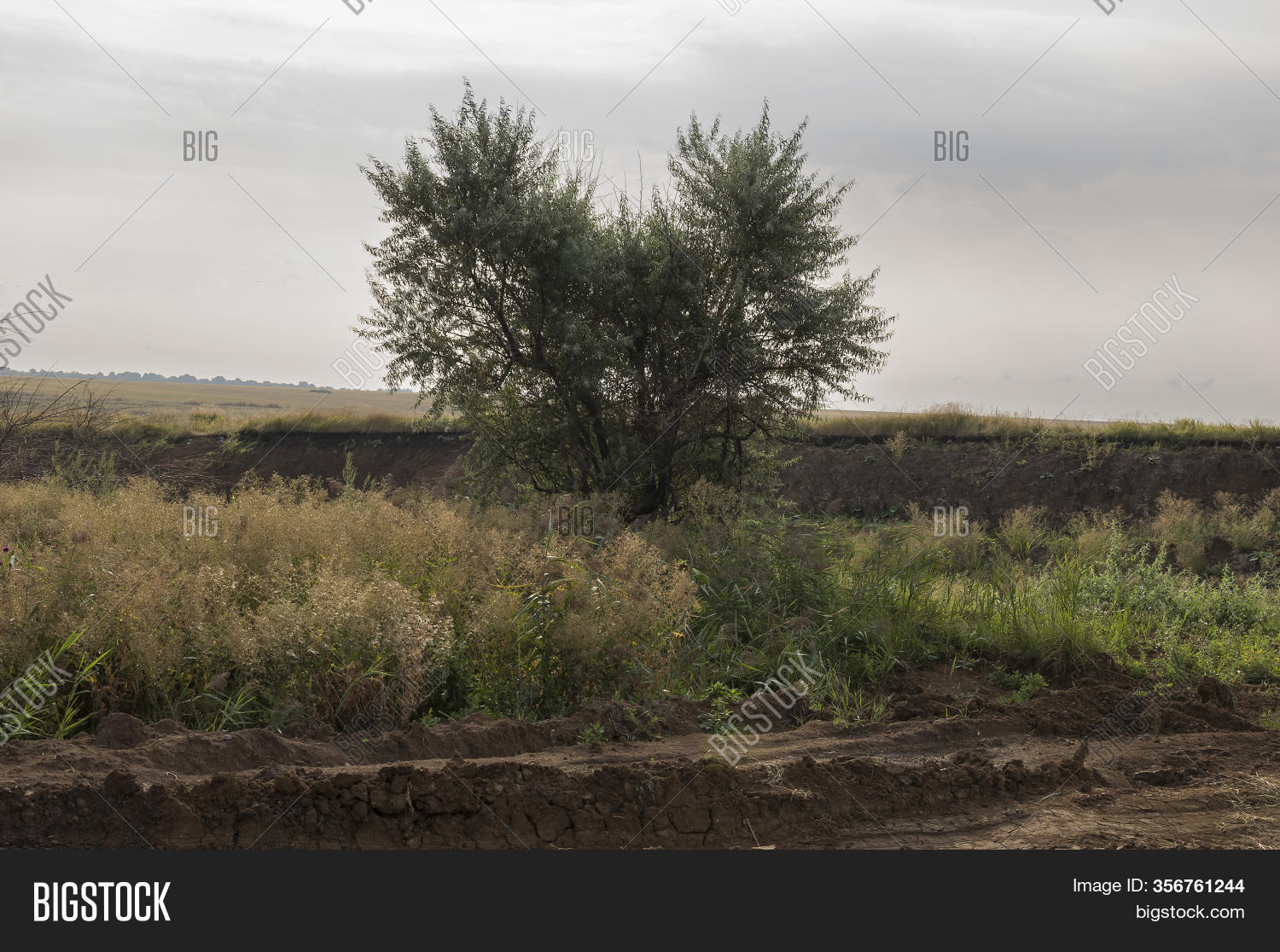 Heavy Grey Clouds Cold Image & Photo (Free Trial) | Bigstock