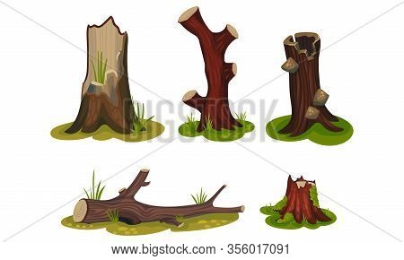 Old Hollow Stubs And Moss-covered Stumps Standing On Green Patch Vector Set