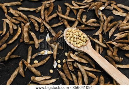 Soybeans Pod, Harvest Of Soy Beans Background. Soybeans On A Wooden Background. Rustic Style