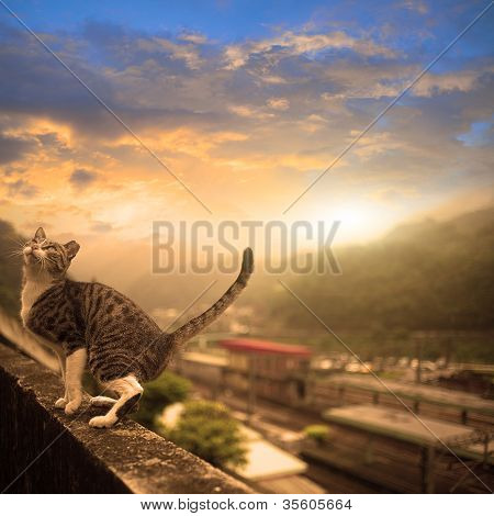 Kreikkalainen arkkitehtuuri bule sky adv tai muiden tarkoitukseen käyttö