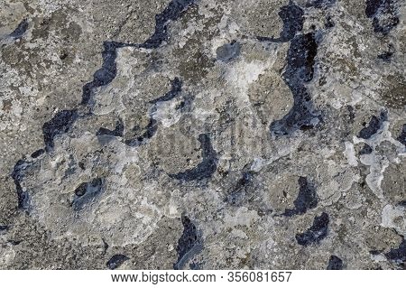 Fossilized Volcanic Lava Texture, View Of Volcanic Lava For A Background Or Design, Close-up