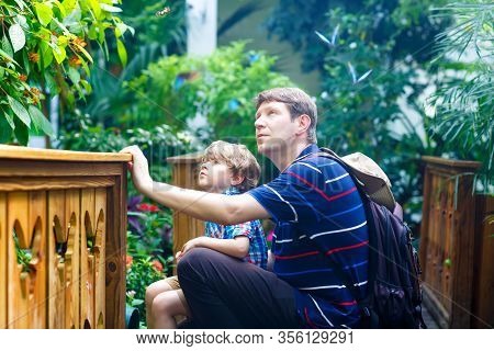 Father And Preschool Kid Boy Discovering Flowers, Plants And Butterflies At Botanic Garden.
