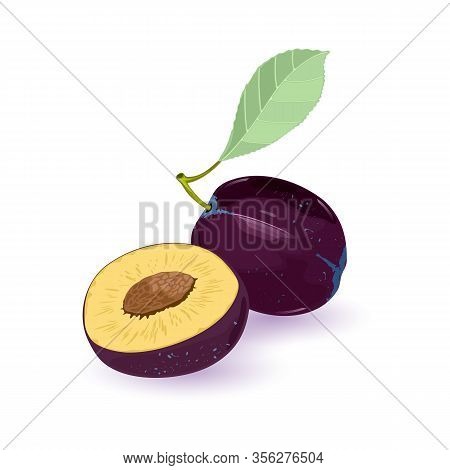 Whole And Half Blue Plum With Green Leaf. Ripe Fruits. Summer Fruitage, Tasty Healthy Snack. Vector 