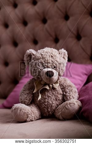 Teddy Bear On A Brown Sofa In The Room