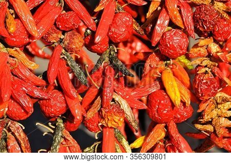 Dry Peppers: Pimientos Choriceros, Dry Hot Guindilla Peppers, And Piparras-basque Green Peppers Hang
