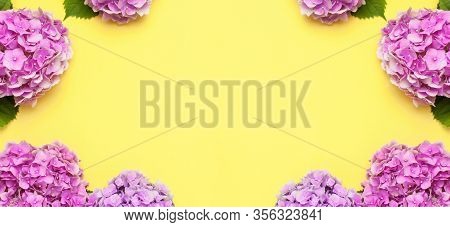 Frame Of Beautiful Flowers Of Pink Hydrangea On Yellow Background Top View Flat Lay Copy Space. Flow