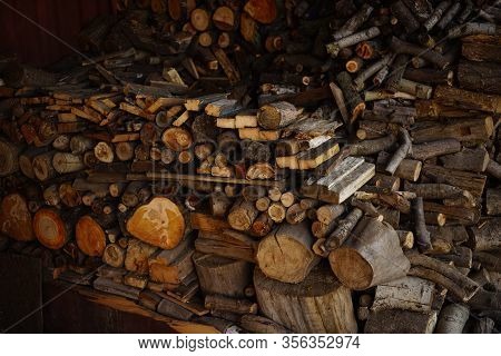 Firewood In The Barn. Different Types Of Wood Harvested For Winter.