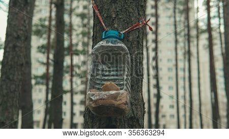 Homemade Plastic Birdhouse With Bread Hanging On Tree In Forest. Close-up Of House From Large Bottle