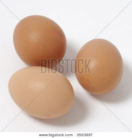 Eier