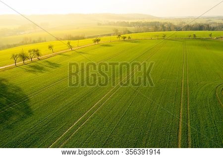 Aerial View On A Field With Green Grass And Few Trees Along A Road. Panoramic View On A Farm Field W