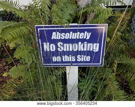 Blue Absolutely No Smoking Sign With Lizard And Green Plants