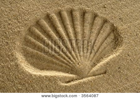 Shell Kum