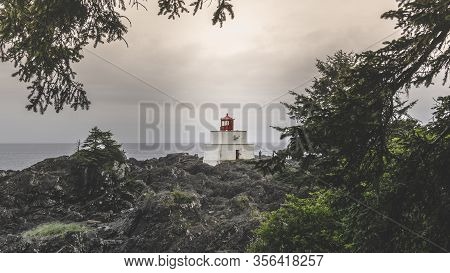 Beautiful Nature On Vancouver Island In Canada