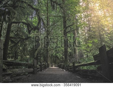 Beautiful Nature On Vancouver Island In Canada
