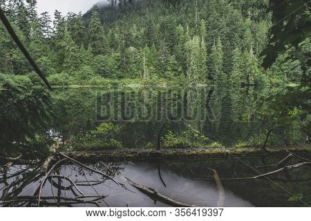 Beautiful Nature On Vancouver Island In Canada