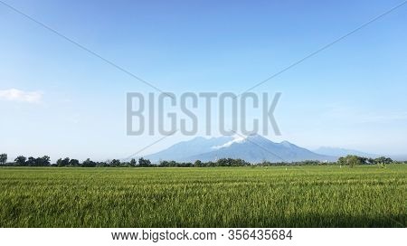 Mountain View From Ricefield In The Morning