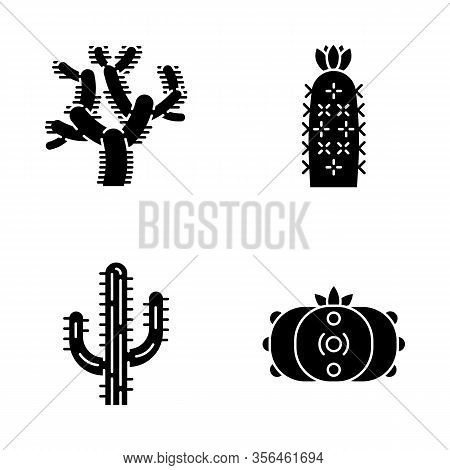 Wild Cacti Glyph Icons Set. American Tropical Plants. Succulents. Saguaro, Peyote, Hedgehog, Teddy B