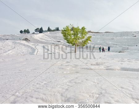Details Of White Carbonate Mineral Rocks Made By Water Flow At Pamukkale Near Archelological Site Hi