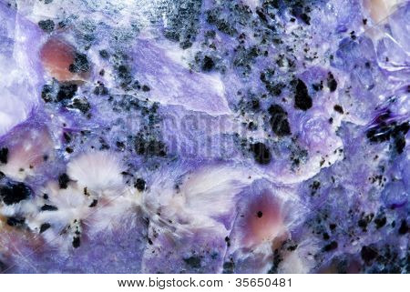 pannello di charoit di marmo naturale, sfondo texture