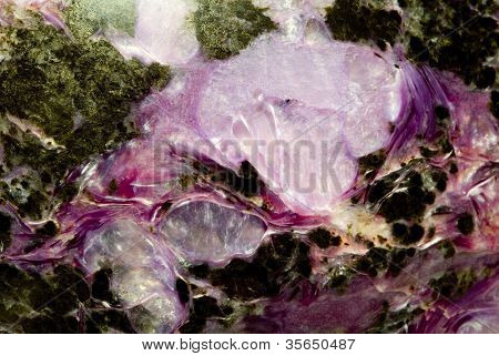 pannello di charoit di marmo naturale, sfondo texture