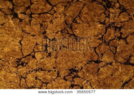 Vecchio di texture carta con bordo brandelli