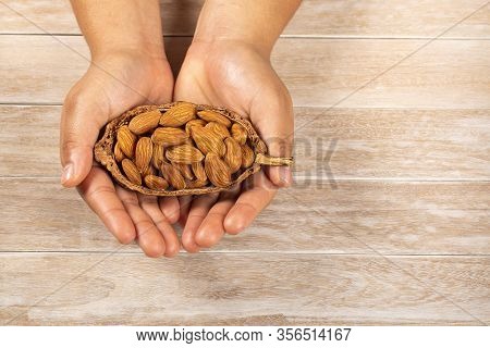 Hands Holding Peeled Almonds - Prunus Dulcis