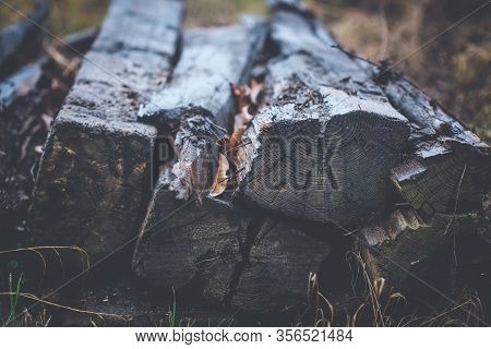 Old Wooden Decayed And Ramshackle Railway Sleepers Stacked Up On Side Of Railway Line