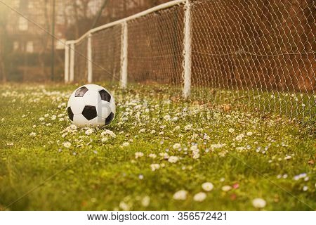 Soccer Ball On Green Grass Lawn With Flowers In The Green Grass. Classic Soccer Ball, Typical Black 