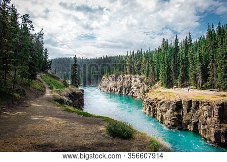 Miles Canyon In Yukon Territory Is Scenic Trail For Hiking Through The Pine Forests Of Canadian Wild