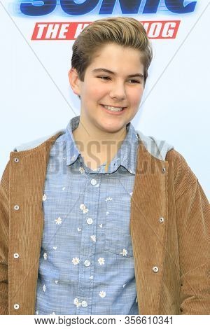LOS ANGELES - JAN 25:  Declan Chambers at the Sonic The Hedgehog Family Day Event at the Paramount Theatre on January 25, 2020 in Los Angeles, CA