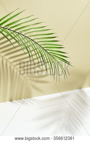 Abstract background of shadows palm leafs on yellow wall and white floor. Creative summer minimal mock-up. Modern shadow palm, great design for any purposes. Sunny yellow background.