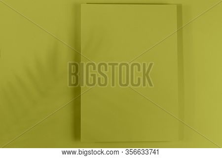 Mosk Up. Abstract Paper Pastel Color Background. Card On A Paper Background With Shadow Of Leaves Fa