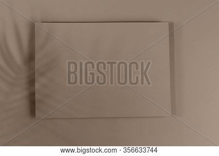 Mosk Up. Abstract Paper Pastel Color Background. Card On A Paper Background With Shadow Of Leaves Fa