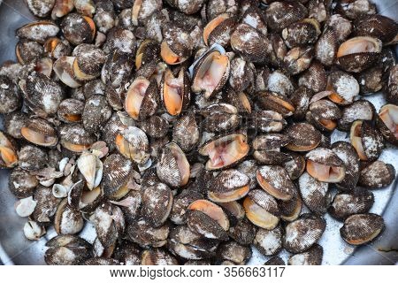 Fresh Anadara Inaequivalvis Sell In Fresh Seafood Market, Note  Select Focus With Shallow Depth Of F