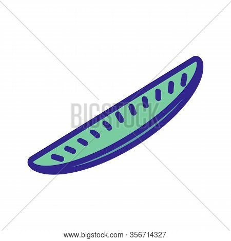 Agures With Seeds Icon Vector. Agures With Seeds Sign. Color Isolated Symbol Illustration