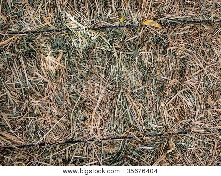 Hay Bale