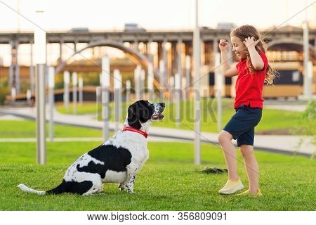 Young Girl In Red T-shirt With Hunting Dog Walk In Green Grass On Sunny Lawn.  Faithful Friends Of H