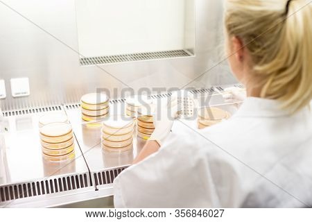 Female Scientist Working With Laminar Flow At Corona Virus Vaccine Development Laboratory Research F