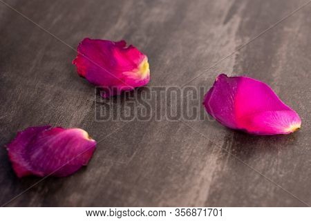 Three Dried Rose Petals On A Dark Surface. Selective Focus. Background