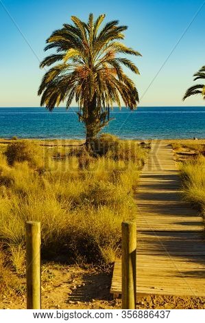 Percheles Beach, Murcia Region Spain. Mazarron Bay. Coastal Landscape With Palm Trees And Wooden Pat