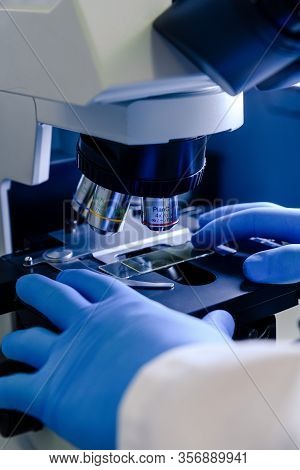 Scientific Handling A Light Microscope Examines A Laboratory Sample For Pharmaceutical Bioscience Re