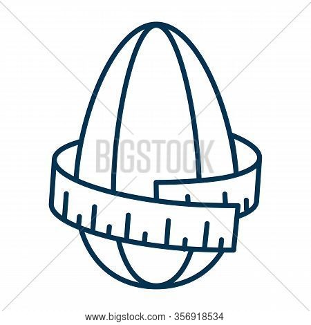 Sunflower Kernel Size Icon. Seeds Wrapped Meter With A Scale. Diet Concept. Vector Web Outline Thin 