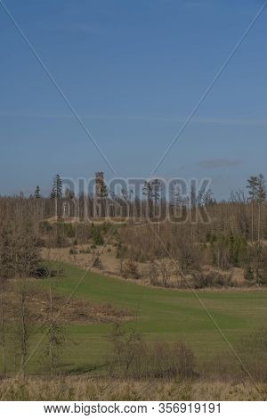 View For Landscape With Cut Down Forests After Bark Beetle And Lookout Tower